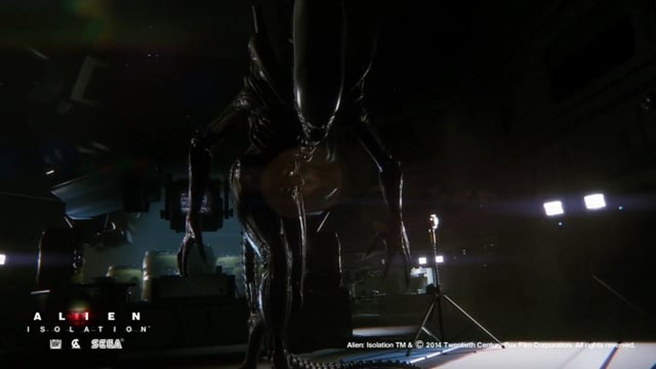 Simon Ridge (@simonridge) on anima.to