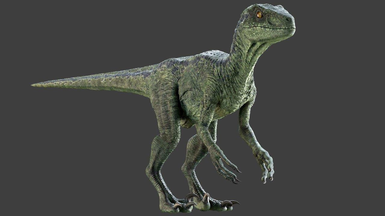 Svt Raptor Animation Raptor — Animation Rigs on anima.to
